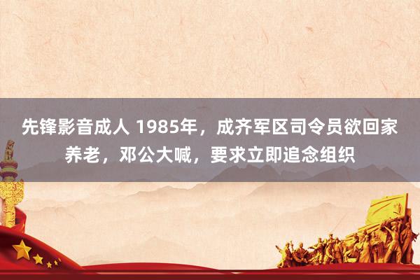 先锋影音成人 1985年，成齐军区司令员欲回家养老，邓公大喊，要求立即追念组织