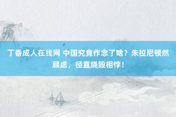 丁香成人在线网 中国究竟作念了啥？朱拉尼顿然顾虑，径直烧毁相悖！