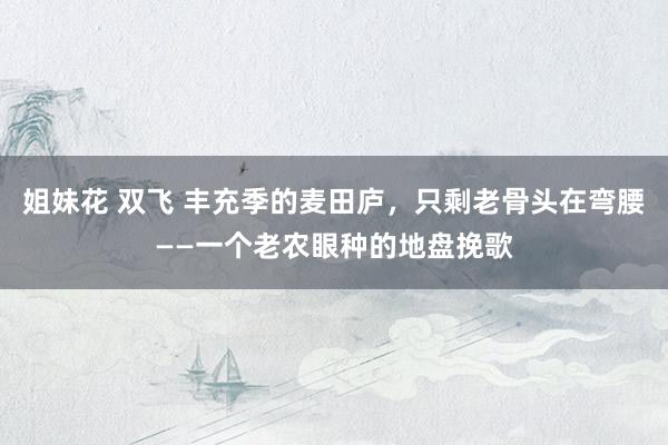姐妹花 双飞 丰充季的麦田庐，只剩老骨头在弯腰——一个老农眼种的地盘挽歌