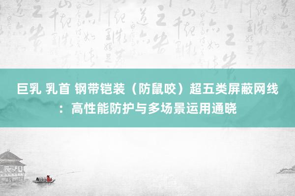 巨乳 乳首 钢带铠装（防鼠咬）超五类屏蔽网线：高性能防护与多场景运用通晓