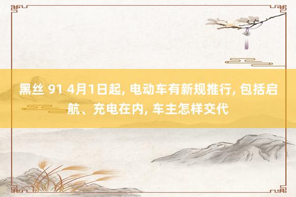 黑丝 91 4月1日起, 电动车有新规推行, 包括启航、充电在内, 车主怎样交代