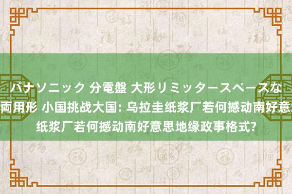 パナソニック 分電盤 大形リミッタースペースなし 露出・半埋込両用形 小国挑战大国: 乌拉圭纸浆厂若何撼动南好意思地缘政事格式?