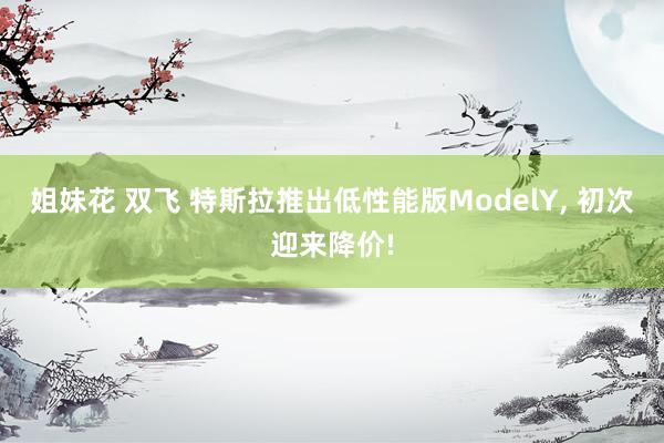 姐妹花 双飞 特斯拉推出低性能版ModelY, 初次迎来降价!