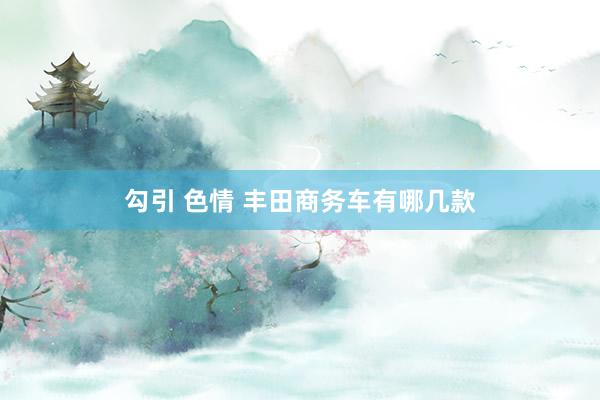 勾引 色情 丰田商务车有哪几款