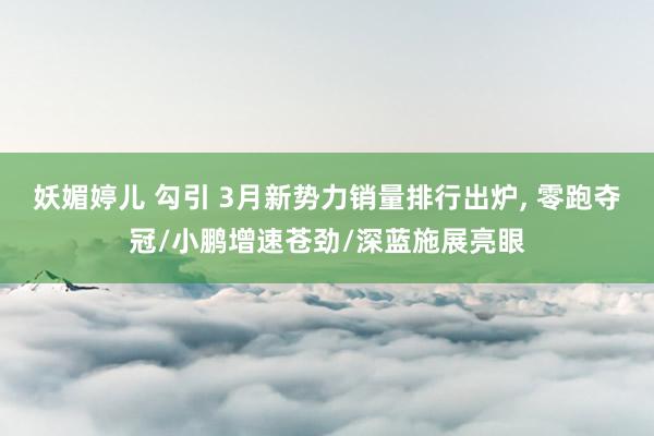 妖媚婷儿 勾引 3月新势力销量排行出炉, 零跑夺冠/小鹏增速苍劲/深蓝施展亮眼
