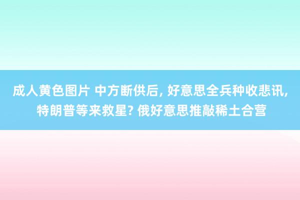 成人黄色图片 中方断供后, 好意思全兵种收悲讯, 特朗普等来救星? 俄好意思推敲稀土合营