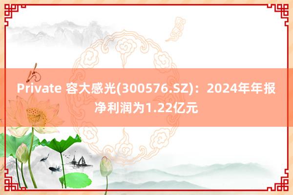 Private 容大感光(300576.SZ)：2024年年报净利润为1.22亿元