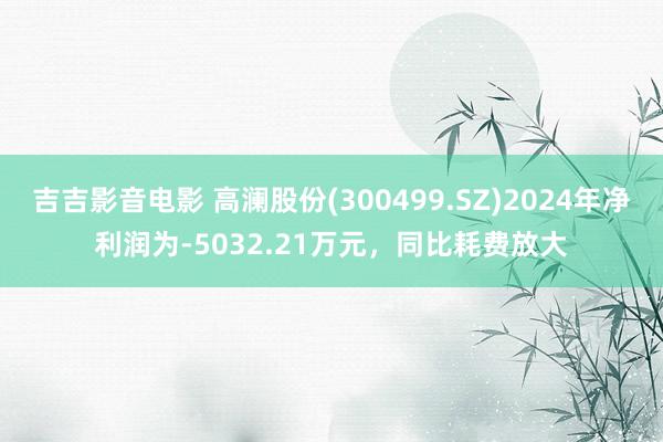 吉吉影音电影 高澜股份(300499.SZ)2024年净利润为-5032.21万元，同比耗费放大