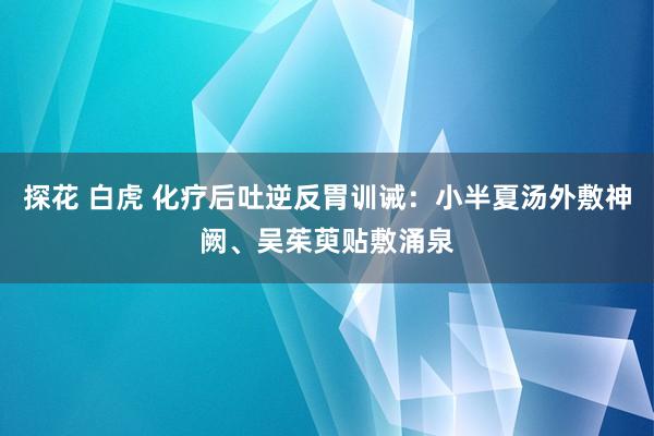 探花 白虎 化疗后吐逆反胃训诫：小半夏汤外敷神阙、吴茱萸贴敷涌泉